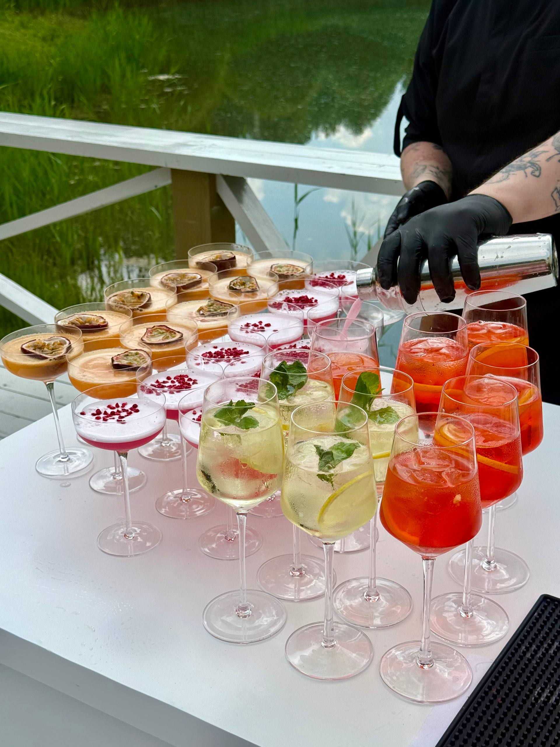 Mobile Bar Review